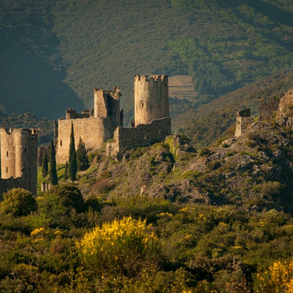 Image Visite culturelle