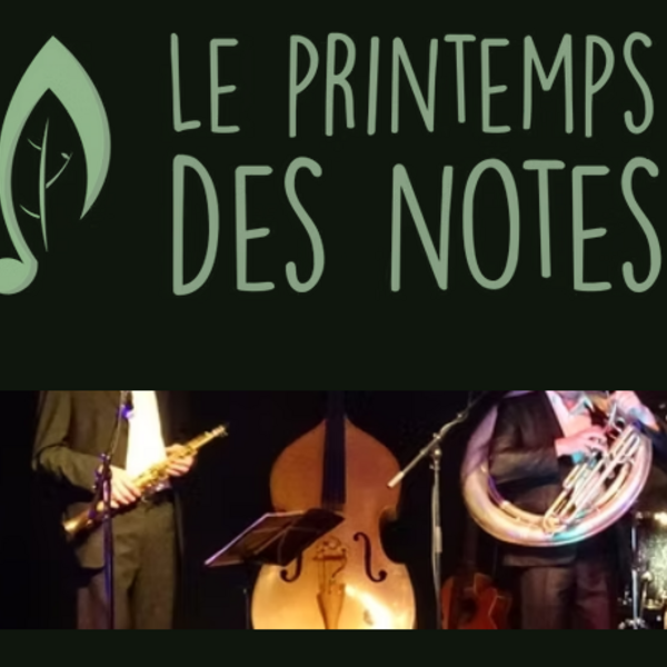 Image Show Teams Salsa + DJ Oscar de la Habana