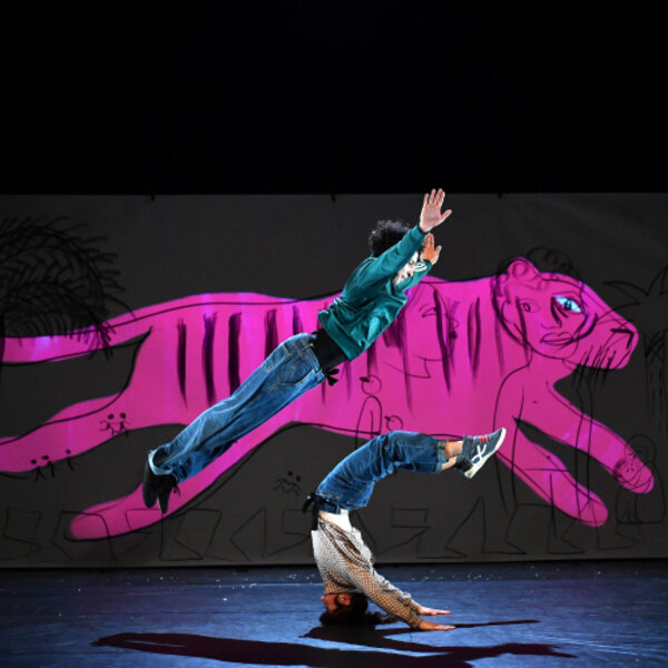 Image Spectacle - Acrodanse "Je suis tigre"