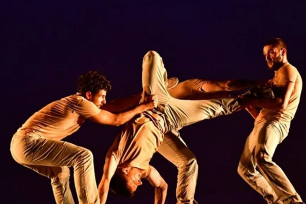 Image Spectacle de Danse : Gaïa 2.0